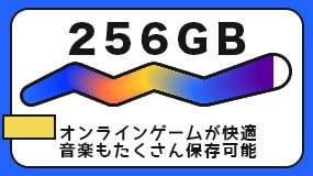 256GB