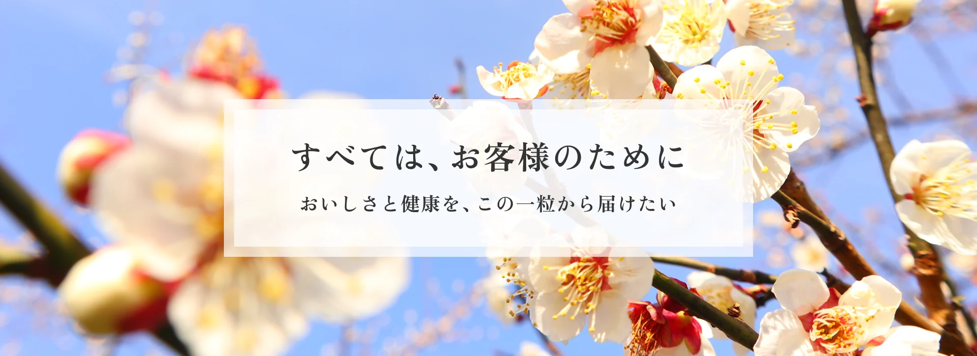 すべては、お客様のために おいしさと健康を、この一粒から届けたい