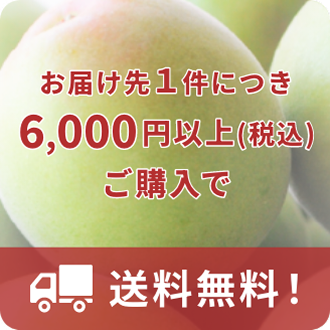 お届け先1件につき6,000円以上（税込）ご購入で送料無料！