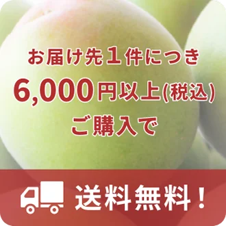 お届け先1件につき6,000円以上（税込）ご購入で送料無料！