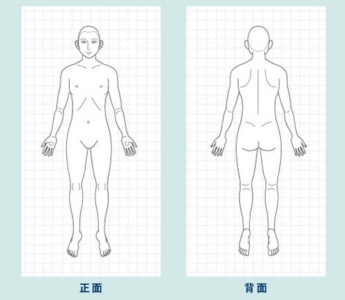 人体図イラストノート Jintaizu エディットノート