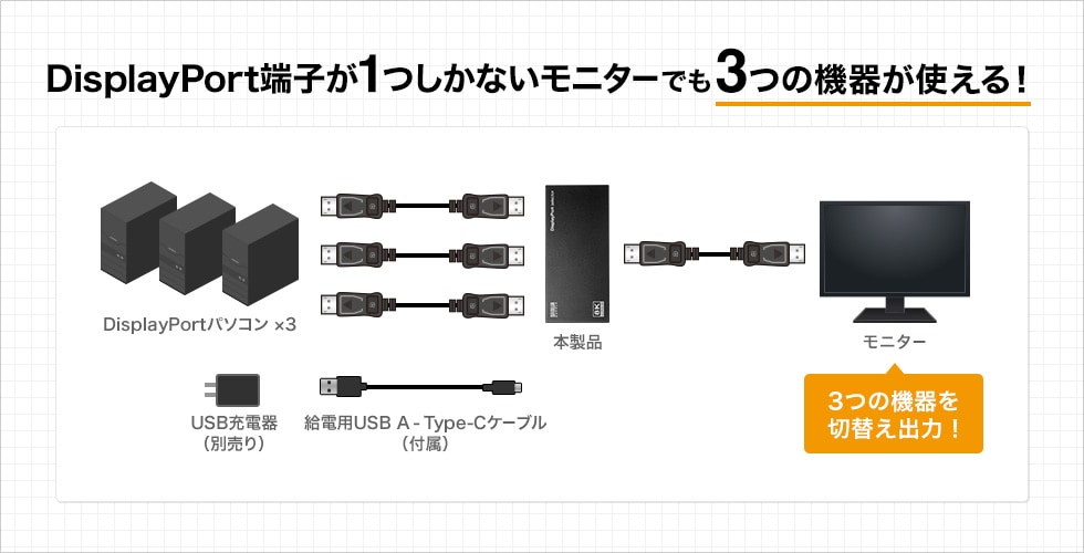 Sanwa SW-DP31R Ǻ