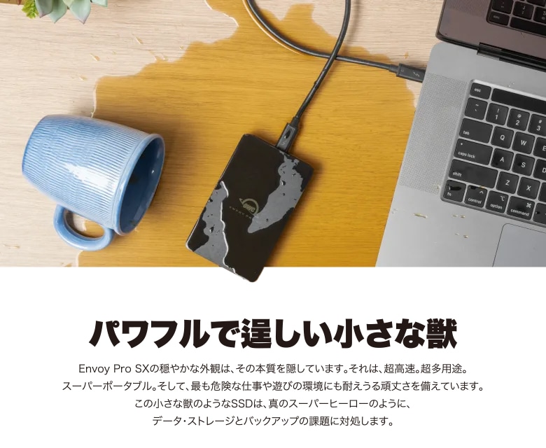 国内正規品】 OWC Envoy Pro SX （OWC エンボイ プロ SX）Thunderbolt