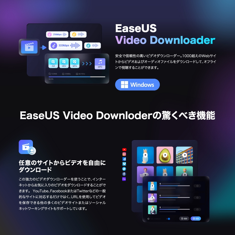 EaseUS Video Downloader 説明1
