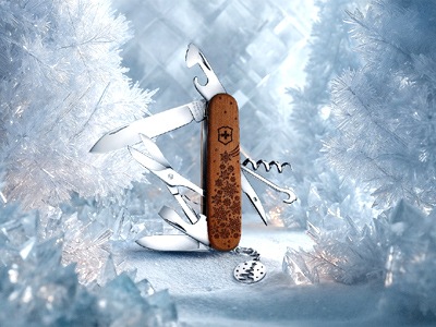 �ӥ��ȥ�Υå����֥��饤�ޡ����åɡ������󥿡��ޥ��å�����ߥƥåɥ��ǥ������2025��