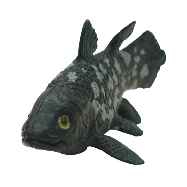 Miniatureplanet シーラカンス ミニチュアプラネット 水生動物 エイこれット 株式会社エイコー運営 エイコレット