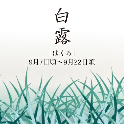 白露
