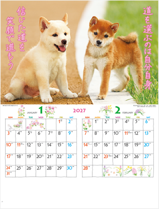 ưʪ���ڥåȤΥ�������