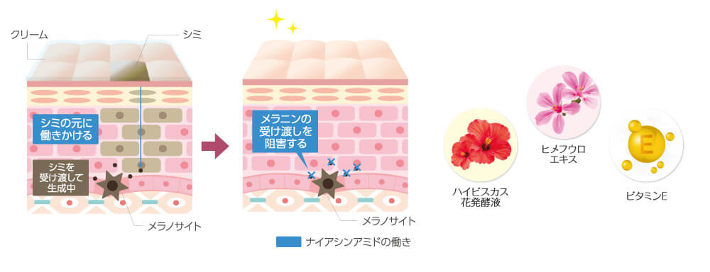 医薬部外品 薬用リンクル美白クリーム 30g 