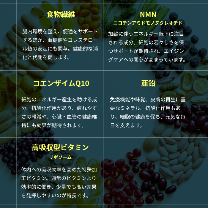 医食同源プロテイン