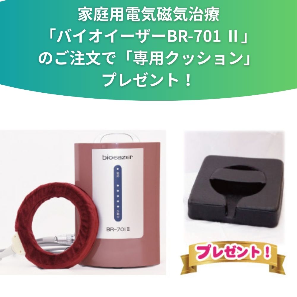 期間限定キャンペーン】家庭用電気磁気治療器 バイオイーザーBR