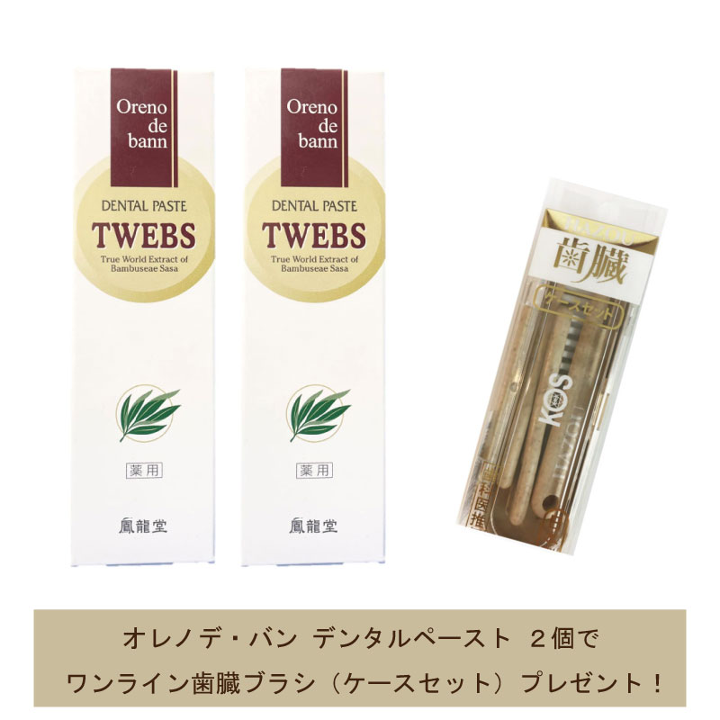 オレノデ・バン デンタルペースト（薬用） TWEBS 40g