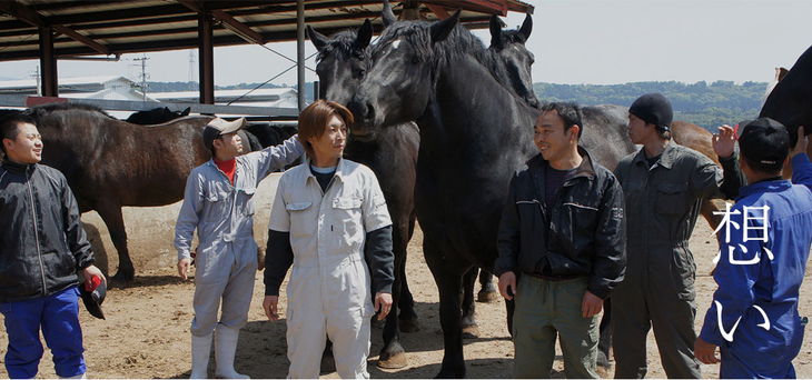 ふじ馬刺し詰合せ