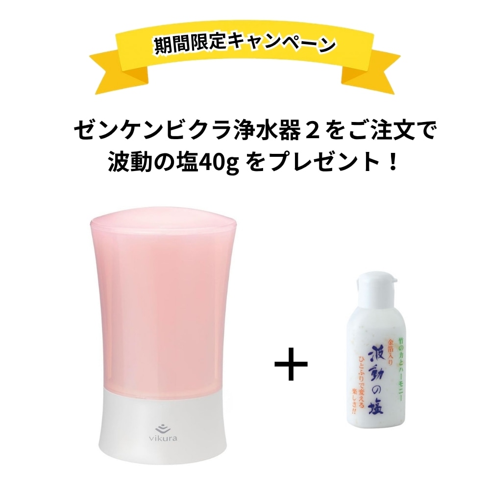 期間限定キャンペーン】ゼンケンビクラ浄水器2 (ピンク）+ 波動の塩