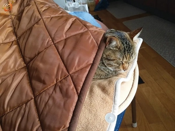 【オーラ蓄熱足湯気分キルト 裏フリースタイプ（半身浴サイズ）