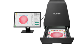 �ץ쥹�����륹�ơ������