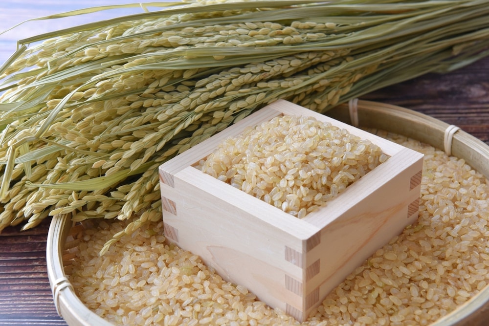 発芽玄米とは？発芽玄米と玄米の違いや栄養価や効果について