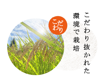 こだわり抜かれた環境で栽培されたお米です