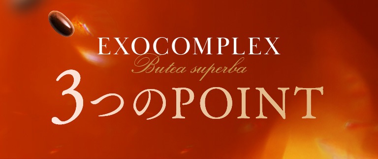 EXOCOMPLEX3つのPOINT