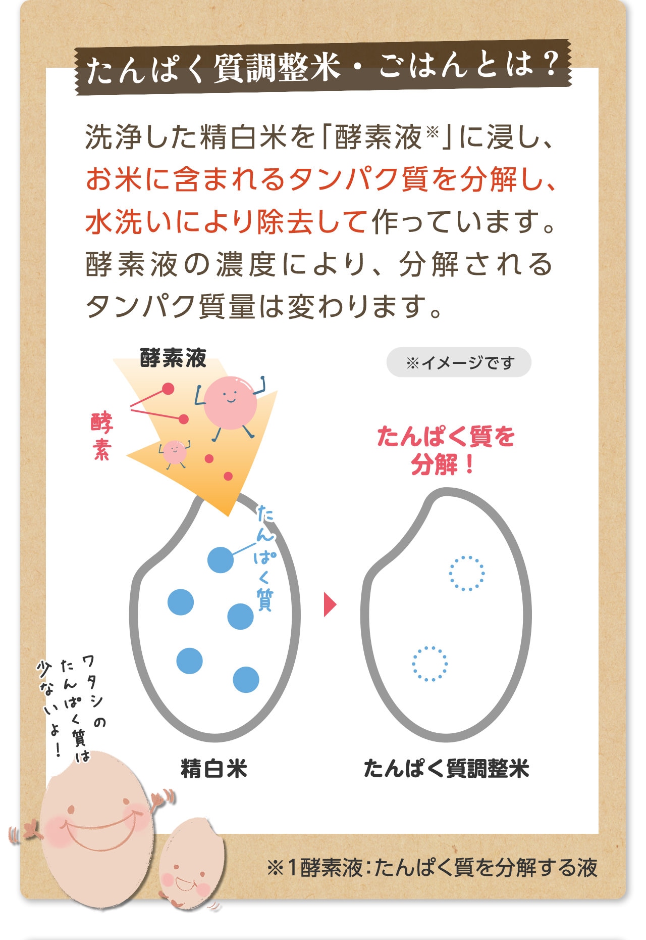 たんぱく質調整米・ごはんとは？洗浄した精白米を「酵素液※」に浸し、お米に含まれるタンパク質を分解し、水洗いにより除去して作っています。酵素液の濃度により、分解されるタンパク質量は変わります。※１酵素液：たんぱく質を分解する液