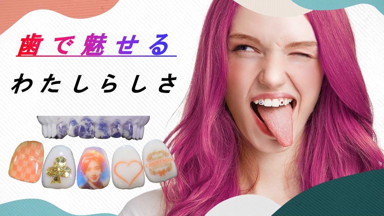 ec melodi 歯型 【公式通販】
