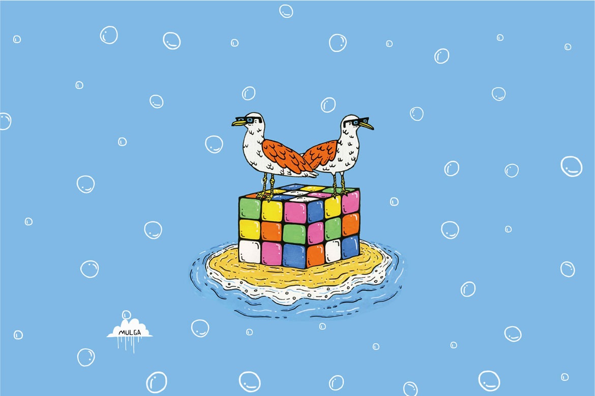 Marty and Geoff the Seagulls��MULGA