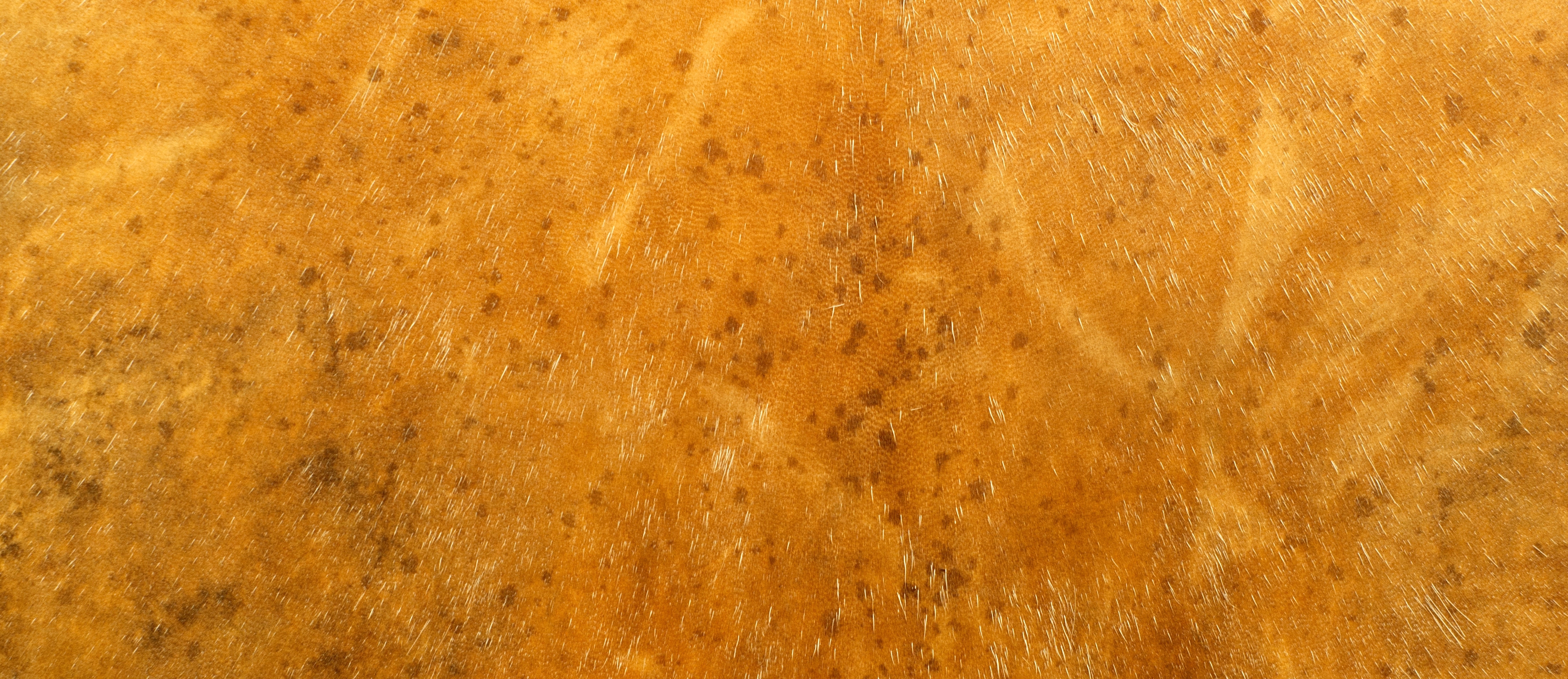 YEZODEER����ħ