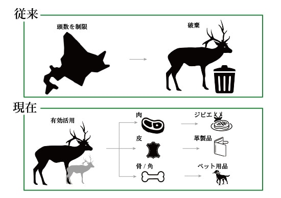 popful �ݥåץե롡���󥻥ץ�3