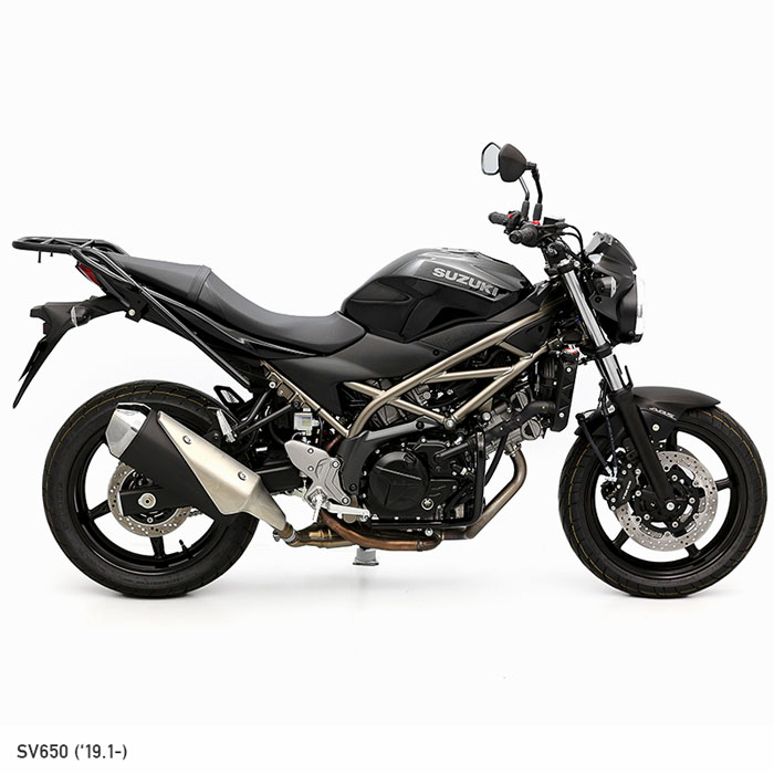 SV650 SV650X VP55E VP55B タンデムグリップ付きリアキャリア