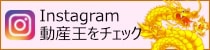 動産王 インスタ