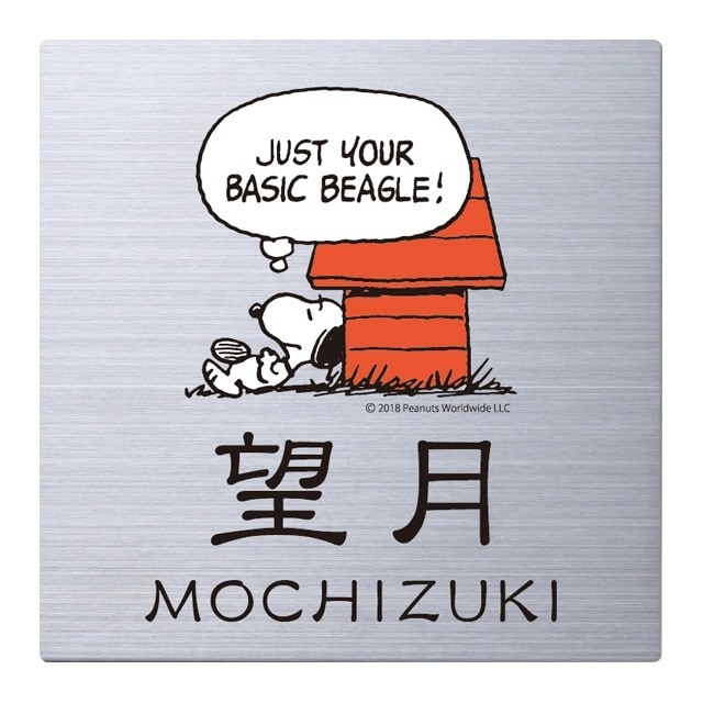 ���̡��ԡ������� ���ƥ�쥹 NSPMPSS-S6-26�ʵ�ǽ�����ѥ�������