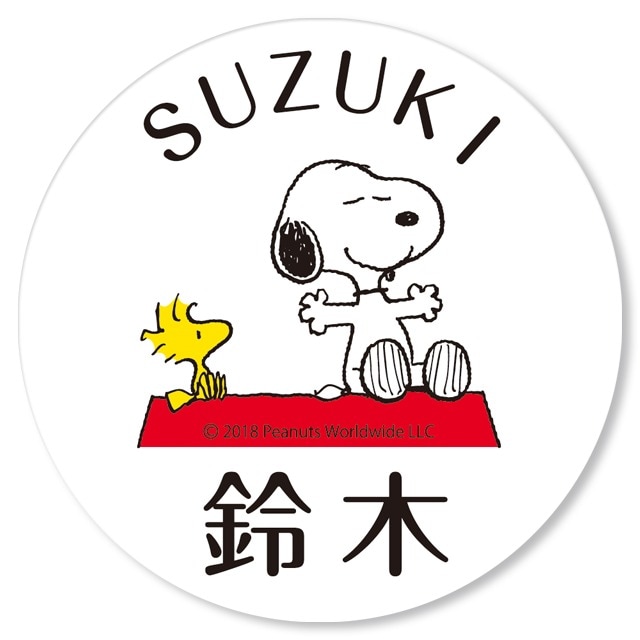 ���̡��ԡ���åڥ� ������� NSPWPR-W1-21