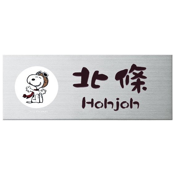 ���̡��ԡ� ɽ�� �ץ졼�� ���ƥ�쥹 SPMPA-S-1