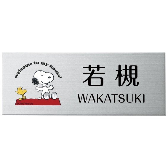 ���̡��ԡ� ɽ�� �ץ졼�� ���ƥ�쥹 SPMPY-S-3