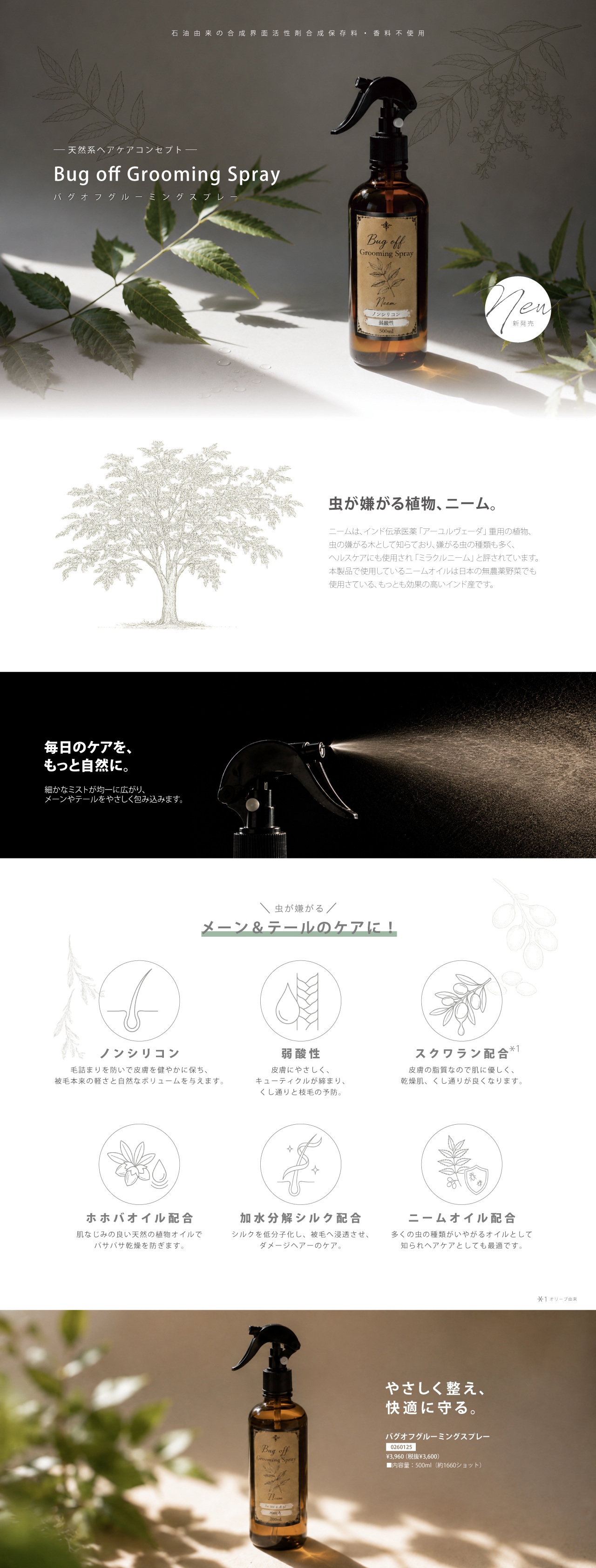 �ᥤ��Хʡ�