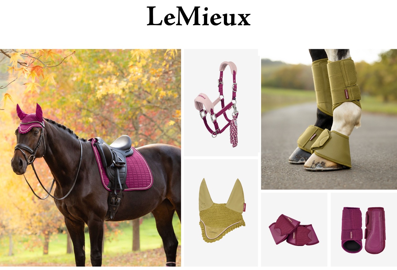 Horse Care �Хʡ�1