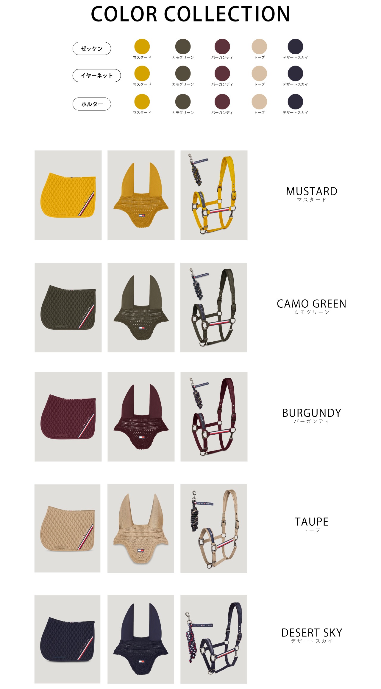 COLOR COLLECTION