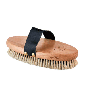 HV �ܥǥ����֥饷