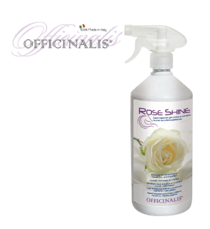 OF ���������㥤��