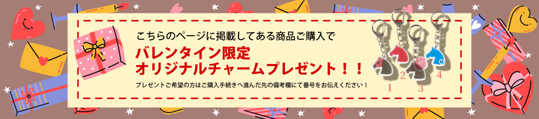 �ץ쥼��ȥХʡ�