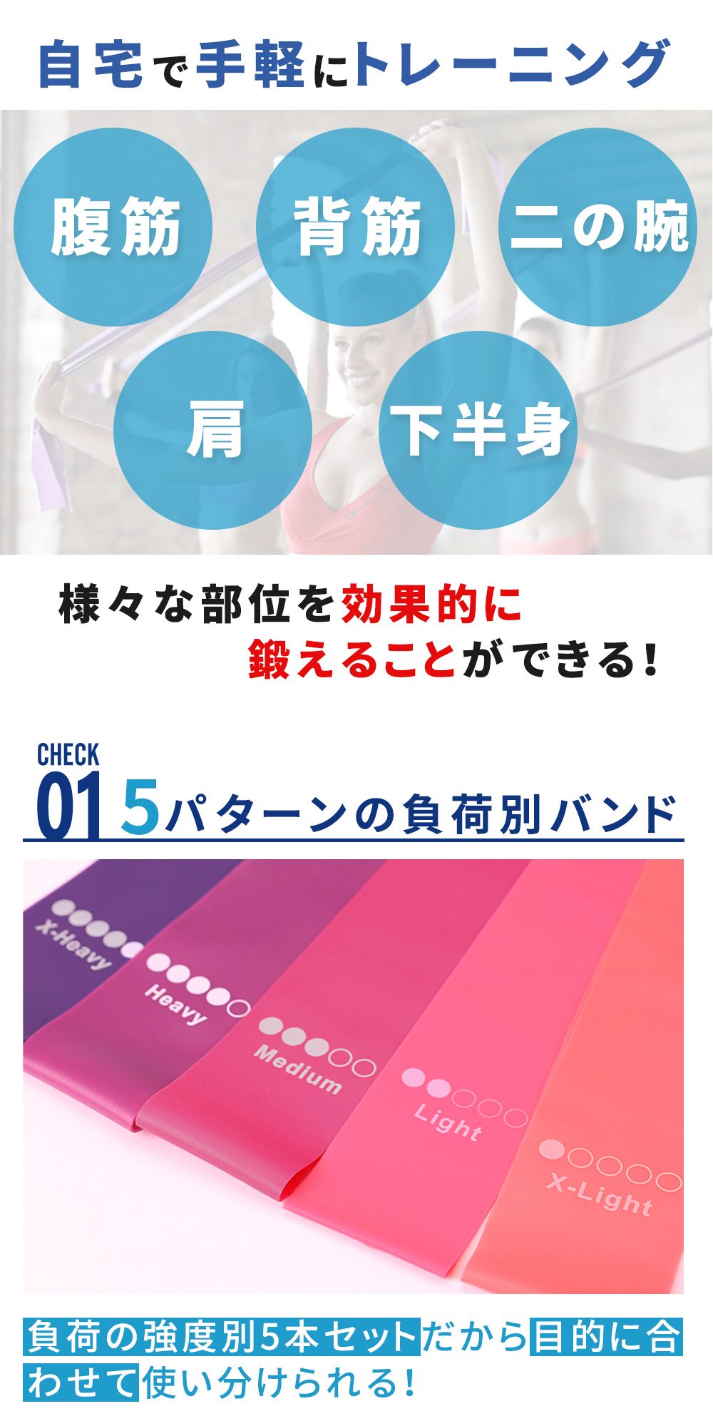エクササイズバンド バンド 5本セット ゴムチューブ エクササイズ 筋