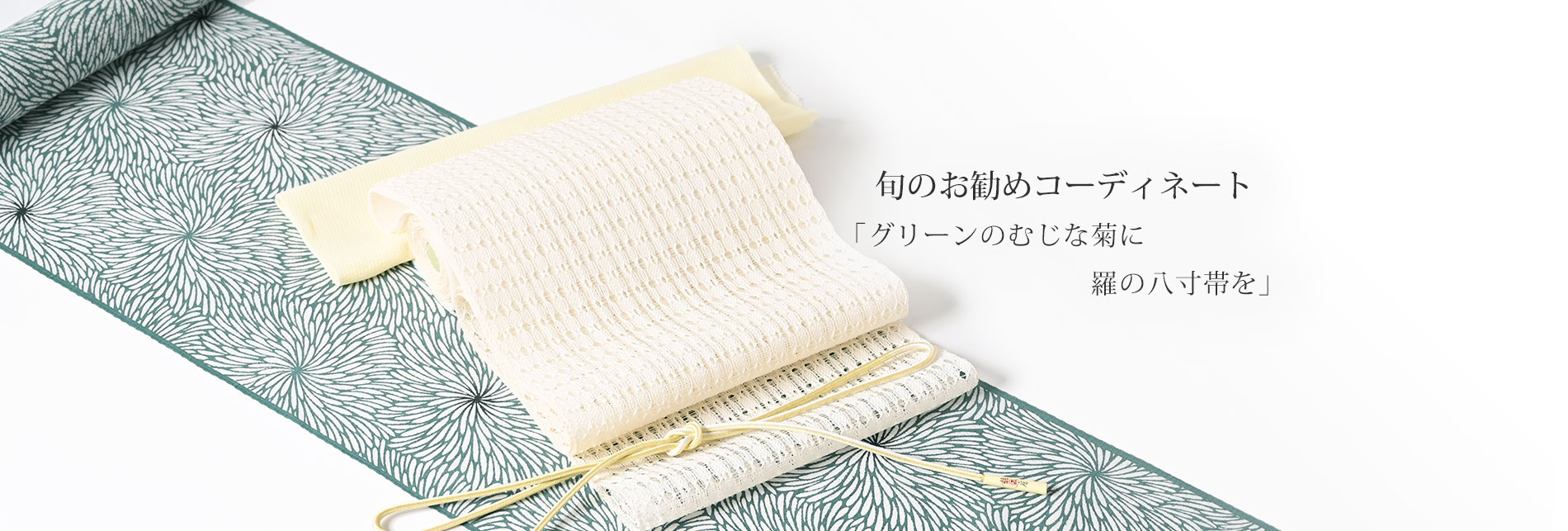 旬のお勧めコーディネート「グリーンのむじな菊に羅の八寸帯を」