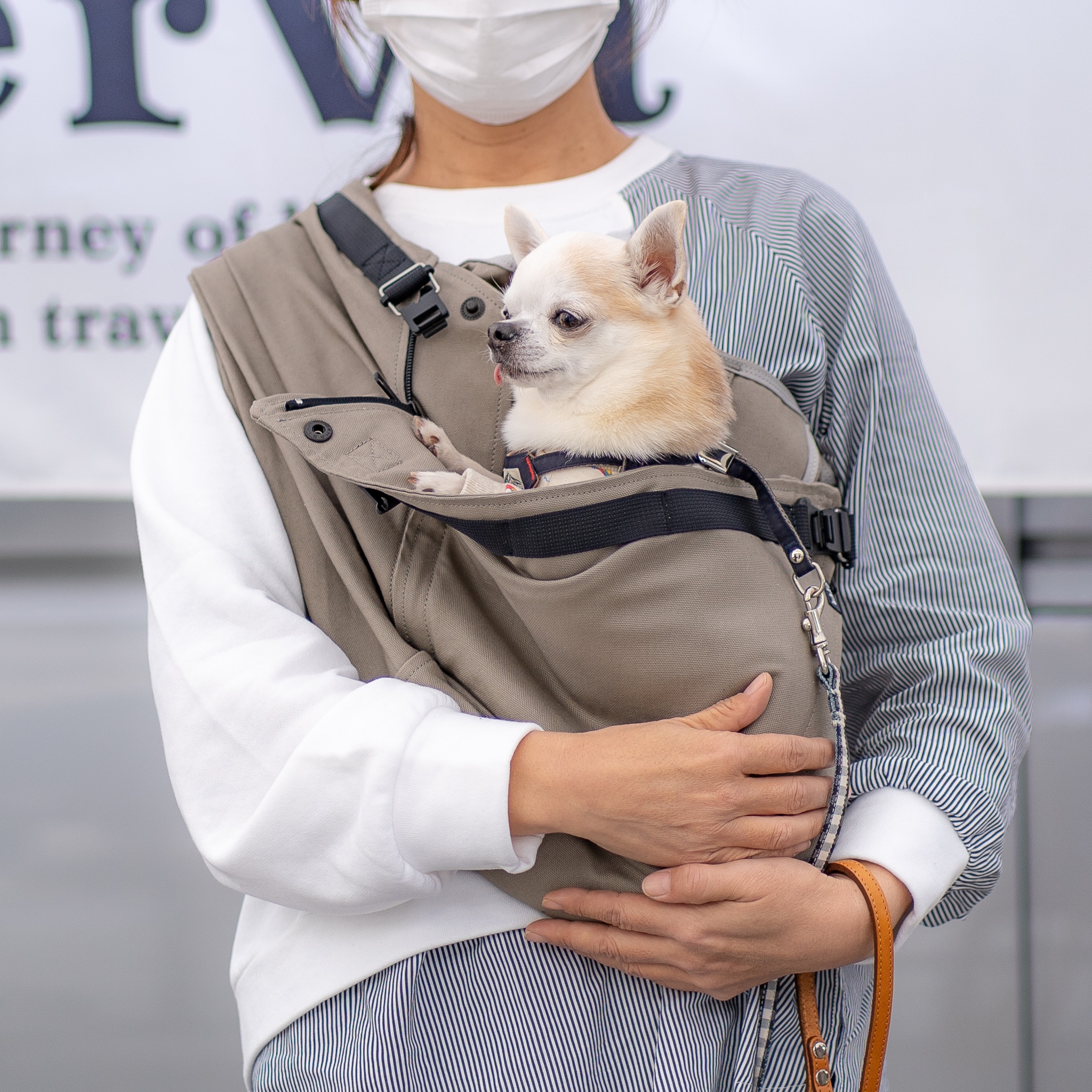 チワワにおすすめのドッグスリング(犬用抱っこ紐)【日本で唯一】の