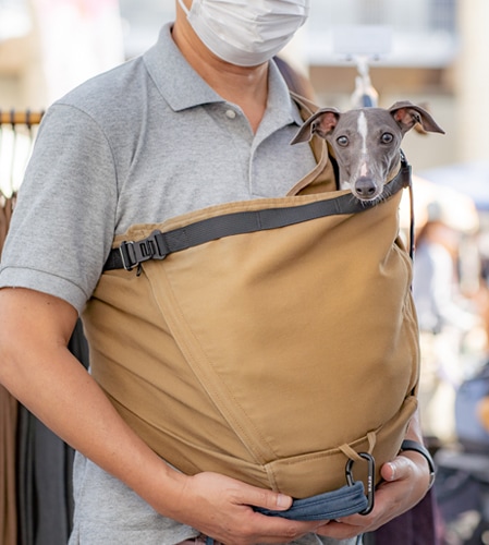 イタリアングレーハウンド（イタグレ）におすすめのドッグスリング(犬