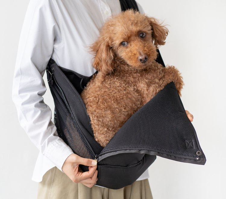 4-15kg対応の犬用抱っこ紐(小型犬・中型犬)夏限定アベルトメッシュ