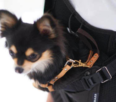 4-15kg対応の犬用抱っこ紐(小型犬・中型犬)夏限定アベルトメッシュ