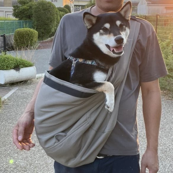 4-15kg対応の犬用抱っこ紐(小型犬・中型犬)ファーシル・コヨーテ｜日本 
