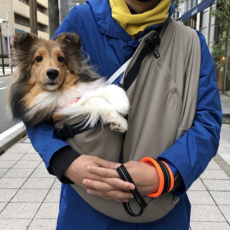 4-15kg対応の犬用抱っこ紐(小型犬・中型犬)調整付きグレージュ｜日本で