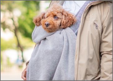 4wayマルチバッグ-犬用抱っこ紐のオプション品｜日本で唯一のドッグス