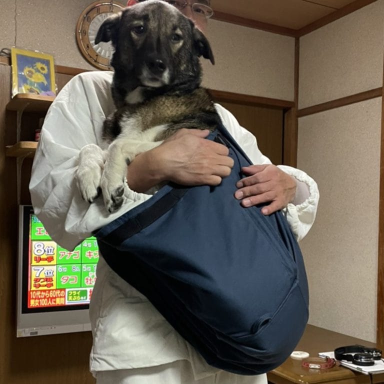 15-20kg対応の犬用抱っこ紐(中型犬)調整付きダークブルー｜日本で唯一